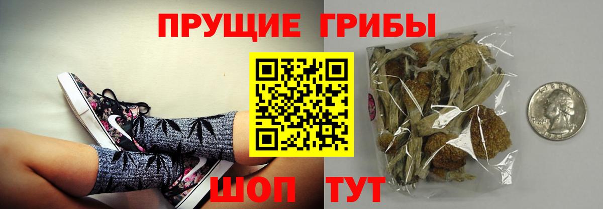 Зима  сколько стоит  Вход с VPN  Псилоцибиновые грибы GOLDEN TEACHER 